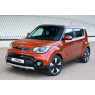 Kia Soul 2 EV (PS) (2014-2018)