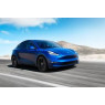 Tesla Y (2020+)