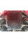 Захист двигуна Buick Regal V (2008-2017) "FWD"