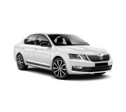 Килимки автомобільні EvaMood для Skoda Octavia A7 (2013-2020)