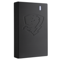 Повербанк (УМБ) Electric Horse 53000 mAh 24W чорний  